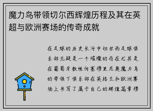 魔力鸟带领切尔西辉煌历程及其在英超与欧洲赛场的传奇成就